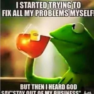 Meet your Posher, Damaris